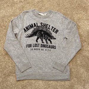 Dinosaur Animal Shelter sz6 Sweater